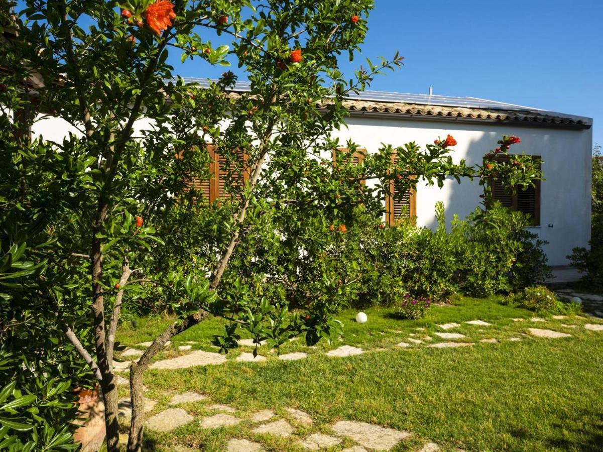 Stagnone Area Zero Bed and Breakfast Birgi Vecchi Exteriör bild